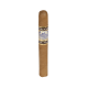 Perdomo Lot 23 Connecticut Robusto